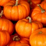 pumpkin o